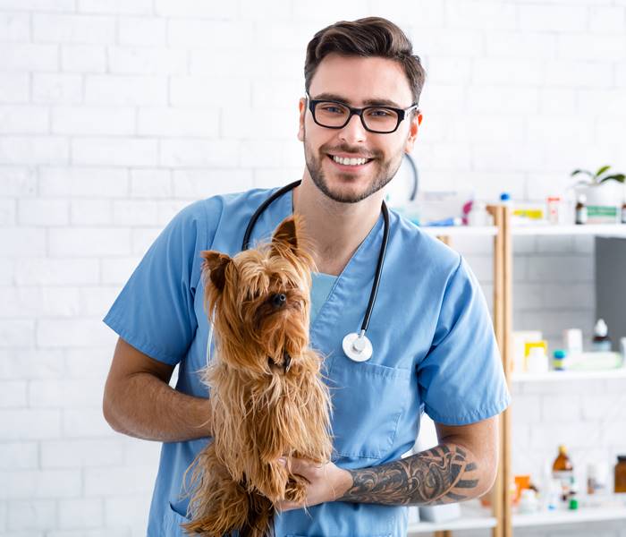 Doctor holding a pet